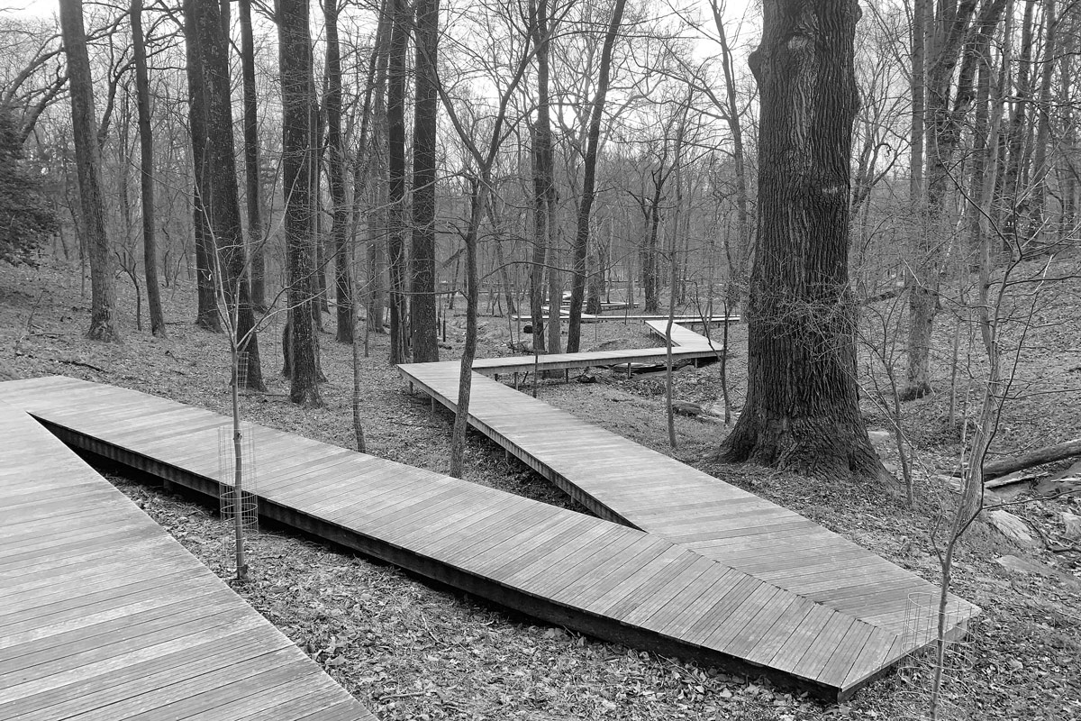 Glenstone museum woodland trail boardwalk